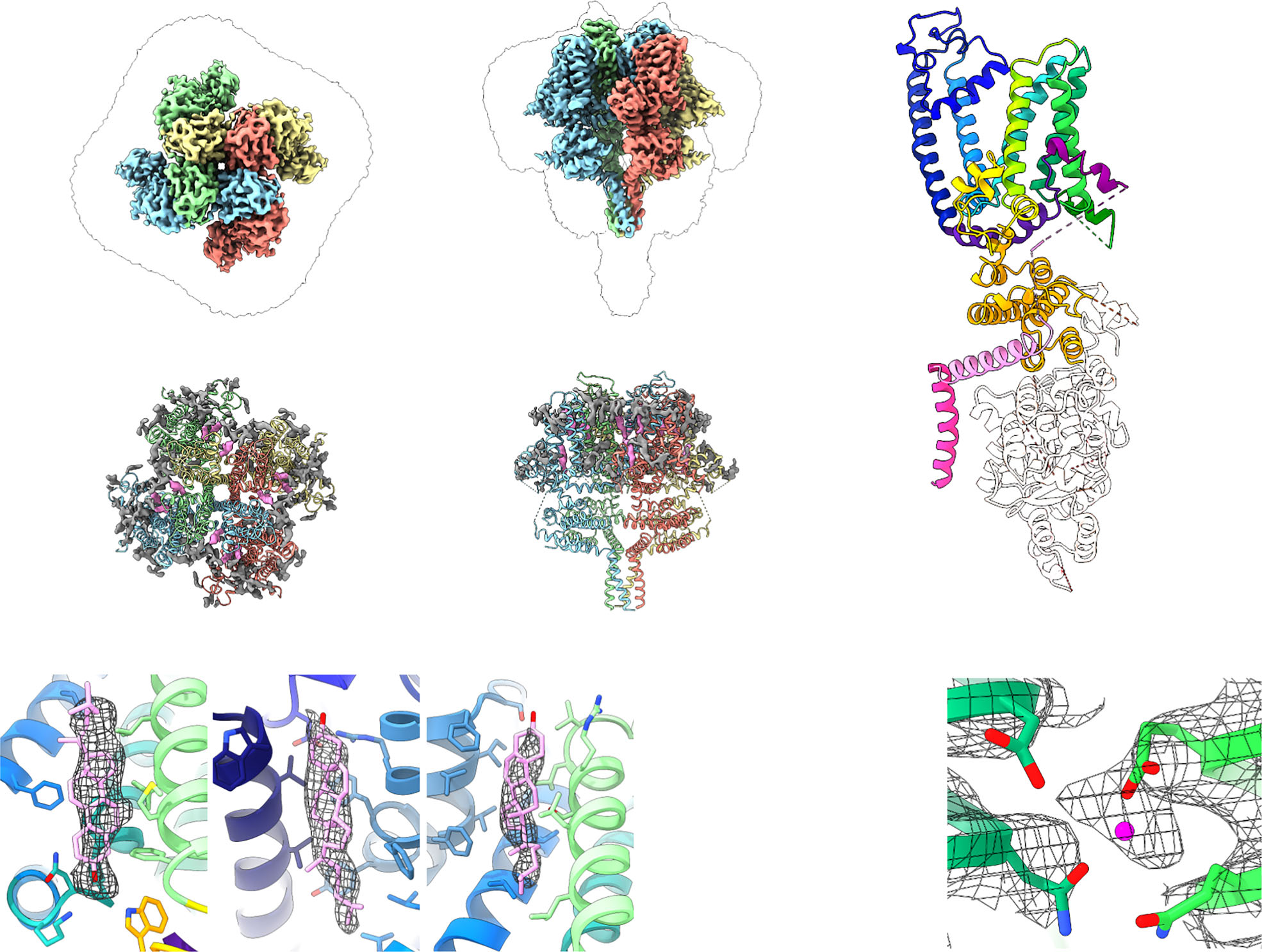 3.5 Å cryo-EM structure of human TRPM4 in MAASTY nanodiscs